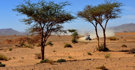 RMF Marocco Challenge